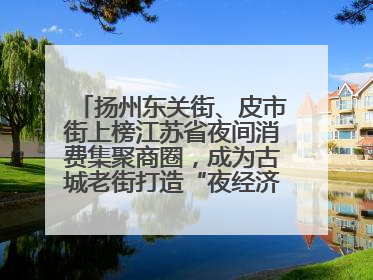 扬州东关街、皮市街上榜江苏省夜间消费集聚商圈，成为古城老街打造“夜经济”的样本